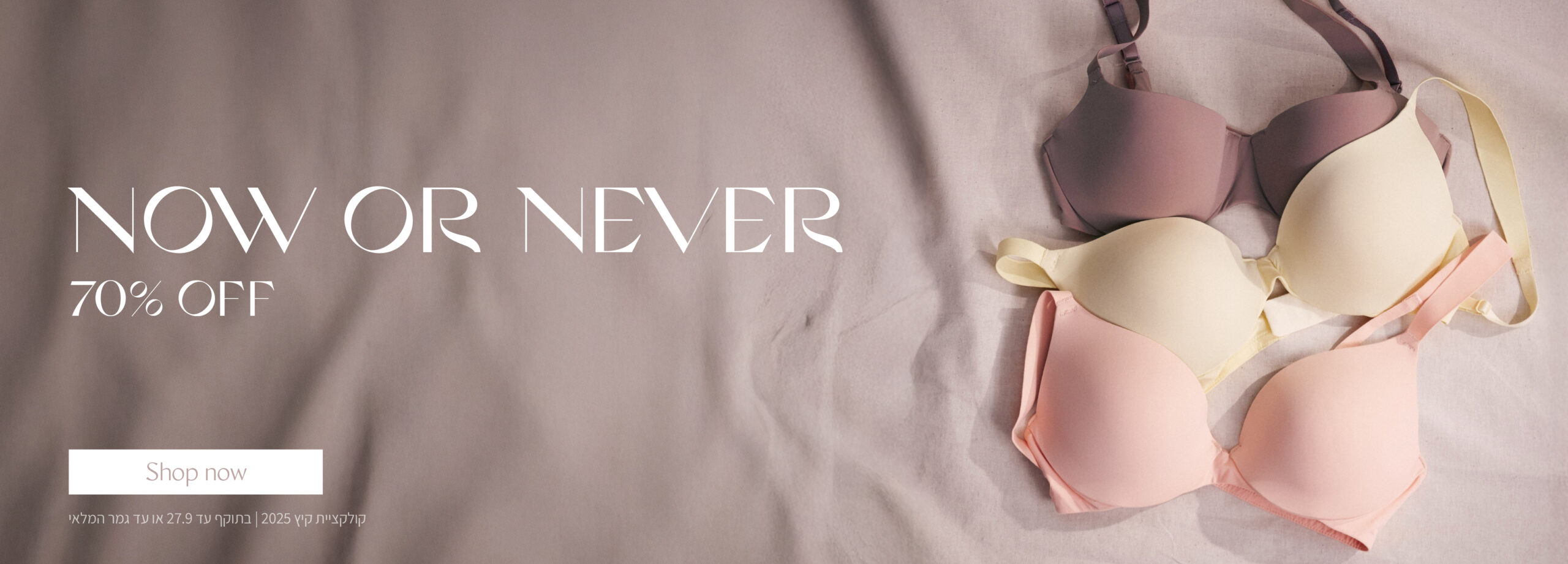 Triumph Web Banner 2025 NOW OR NEVER