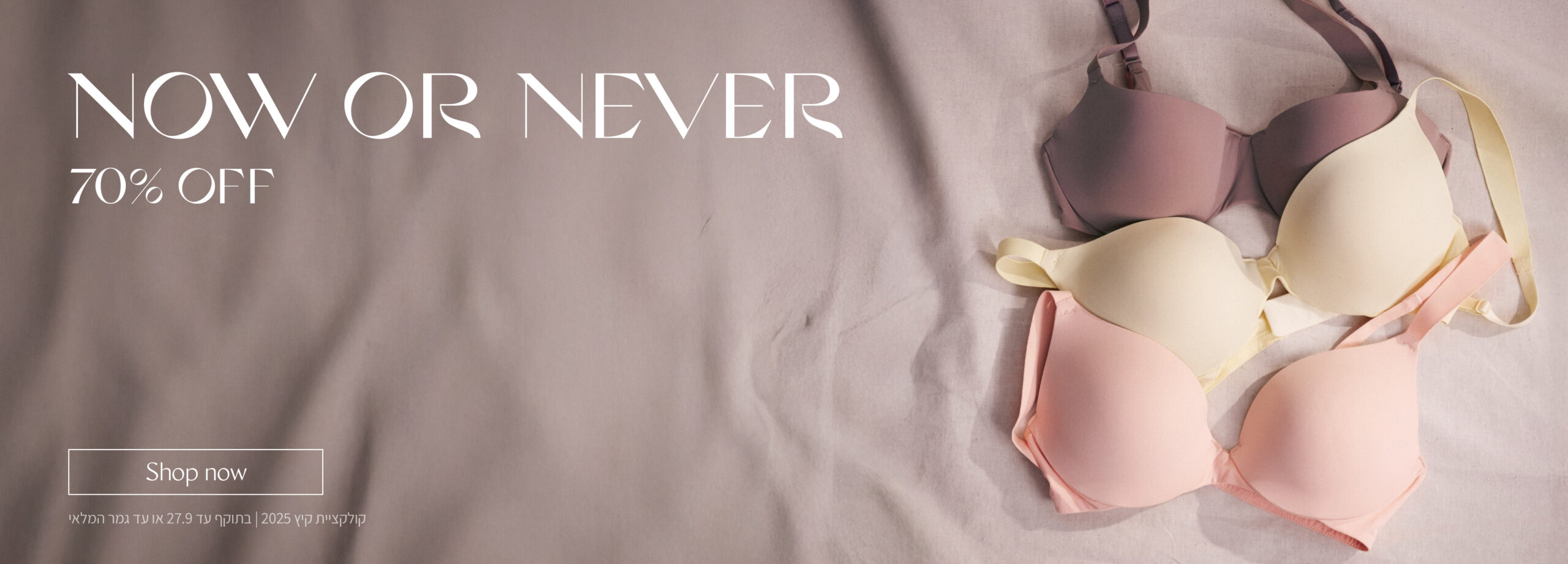 Triumph Web Banner 2025 NOW OR NEVER 2